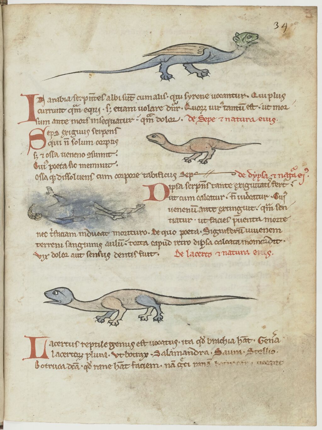 Ouvrir dans Mirador (nouvelle fenêtre)