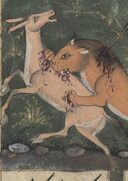Ouvrir dans Mirador (nouvelle fenêtre)