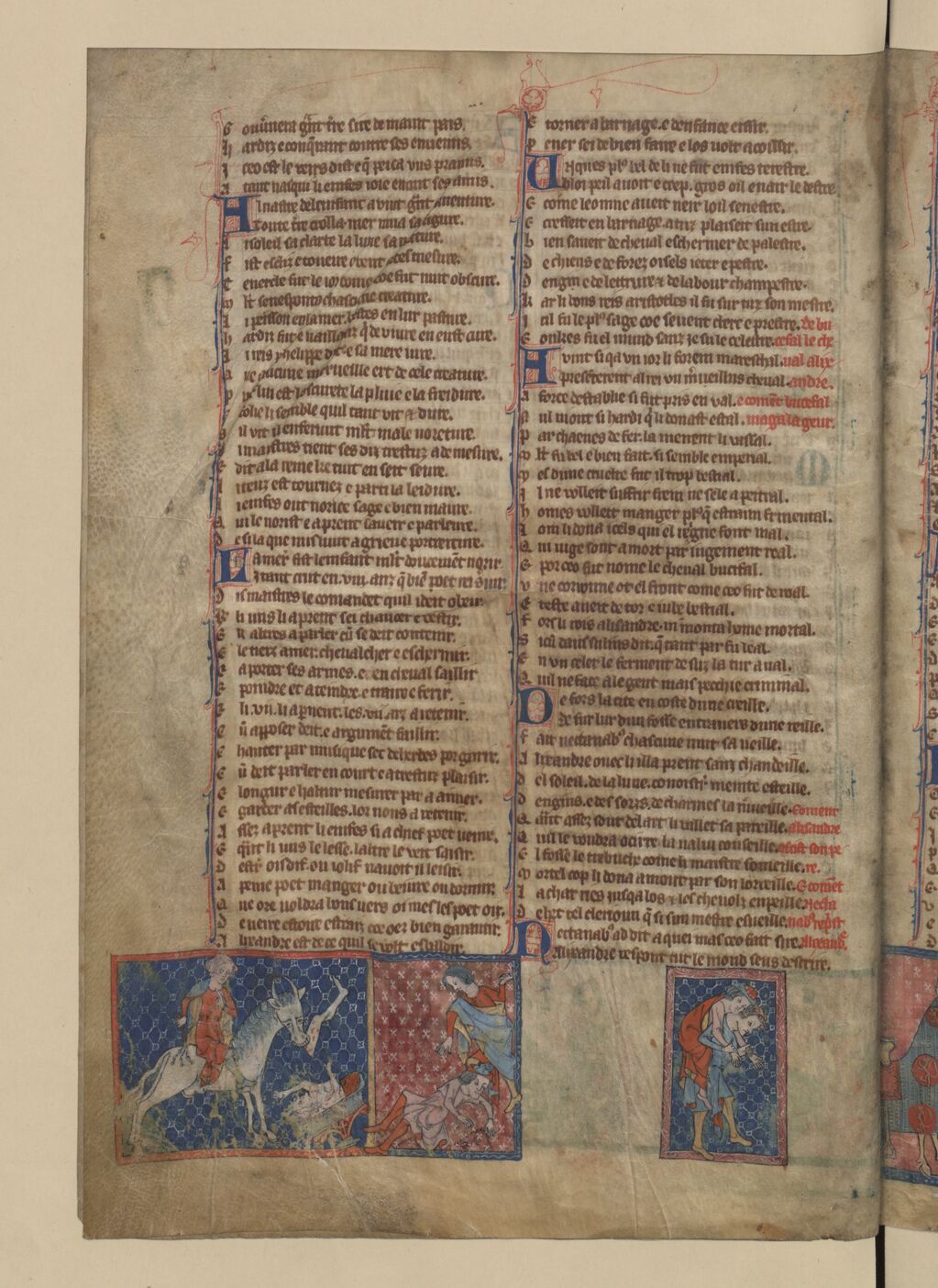 Ouvrir dans Mirador (nouvelle fenêtre)