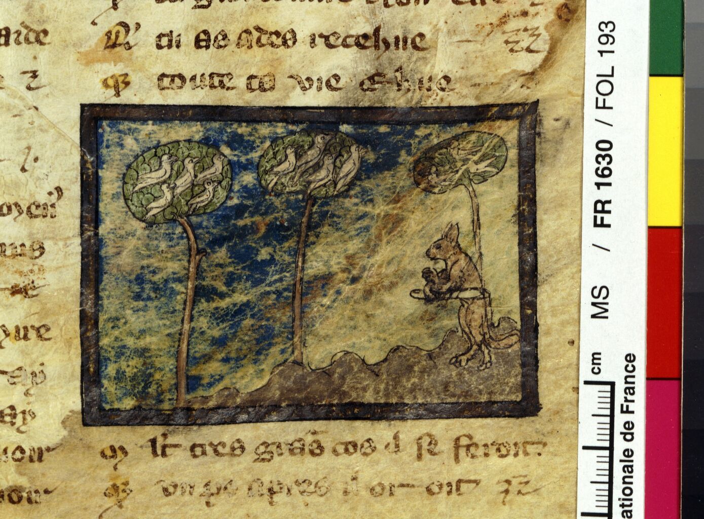 Ouvrir dans Mirador (nouvelle fenêtre)