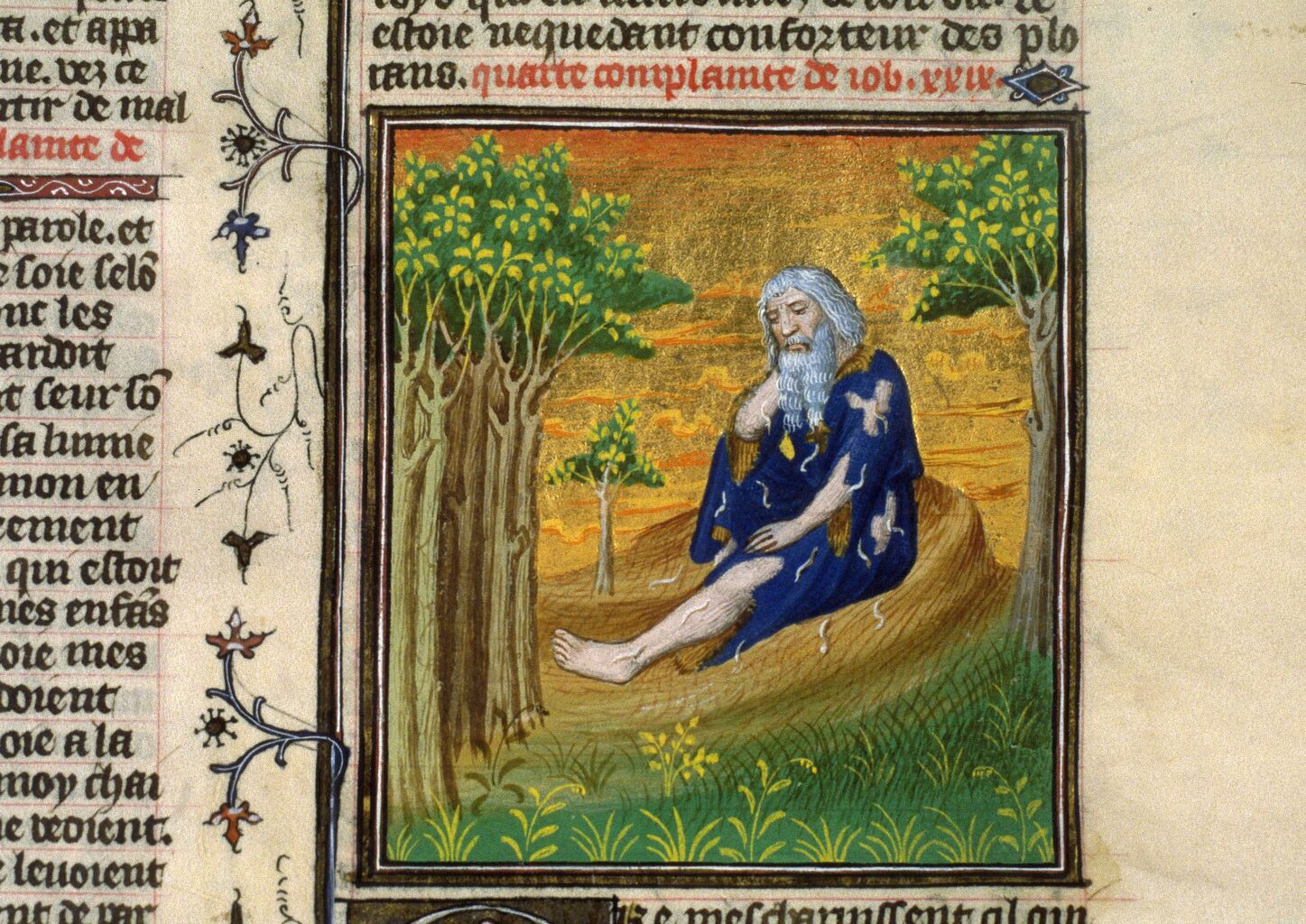 Ouvrir dans Mirador (nouvelle fenêtre)