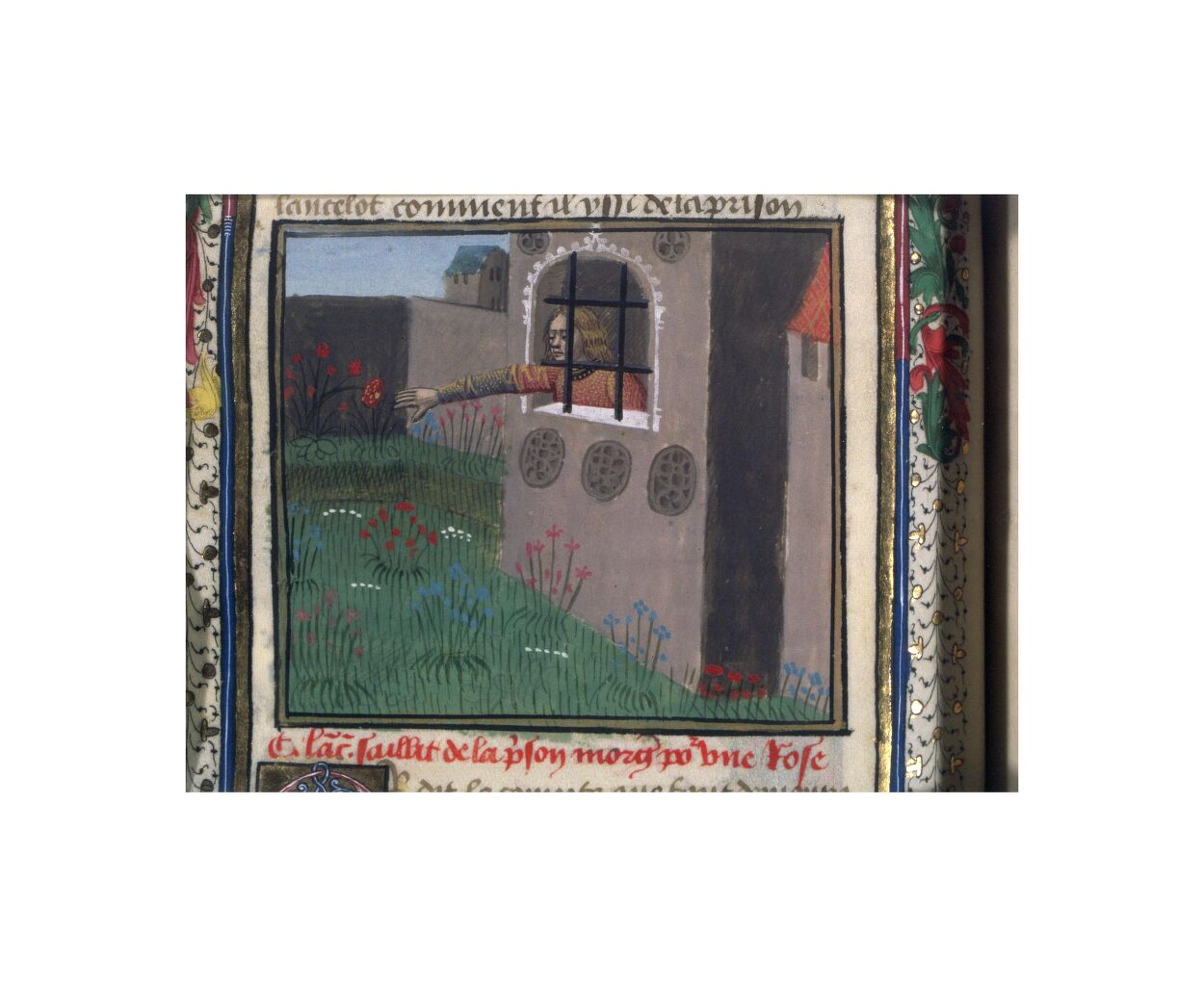 Ouvrir dans Mirador (nouvelle fenêtre)