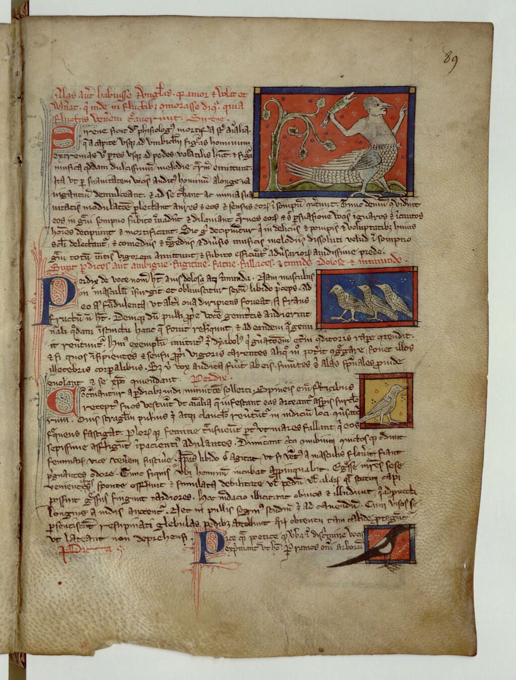 Ouvrir dans Mirador (nouvelle fenêtre)