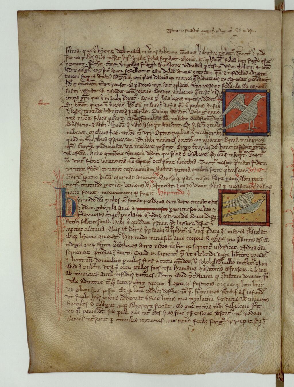 Ouvrir dans Mirador (nouvelle fenêtre)