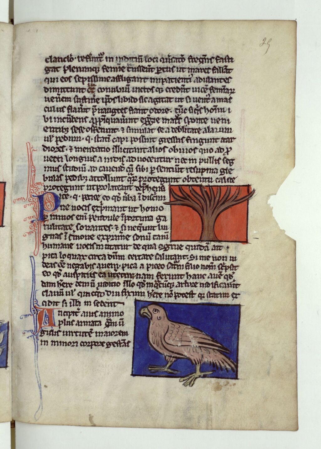 Ouvrir dans Mirador (nouvelle fenêtre)